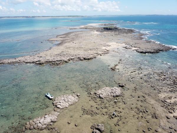 2020土地公嶼記錄