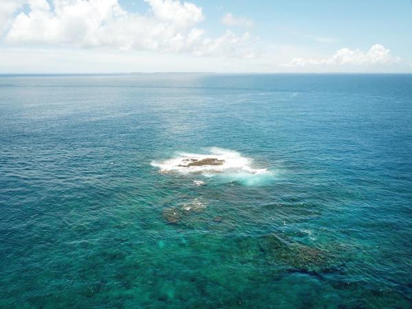 2020船帆嶼塭記錄