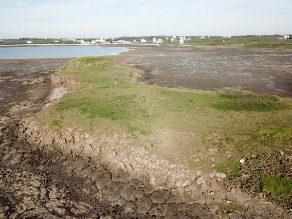 2020牛母件嶼記錄