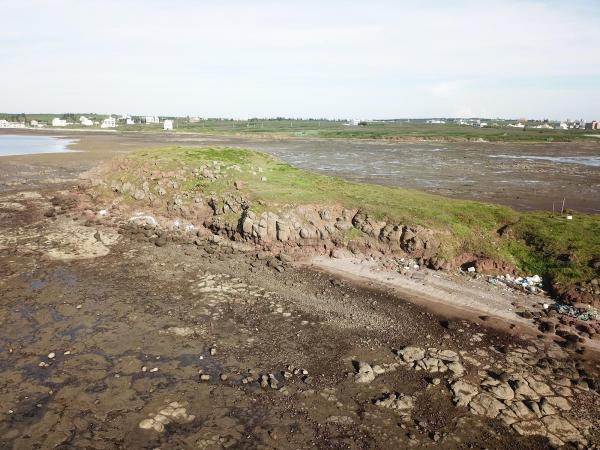 2020牛母件嶼記錄