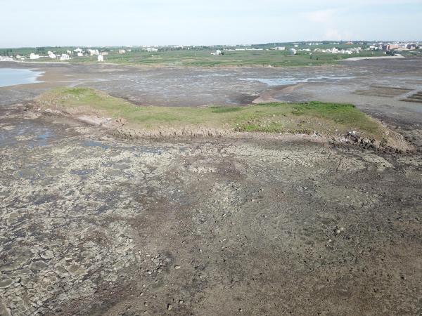 2020牛母件嶼記錄