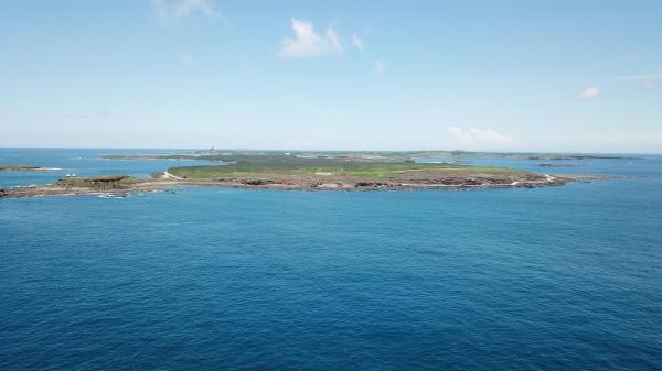 2020將軍澳嶼記錄