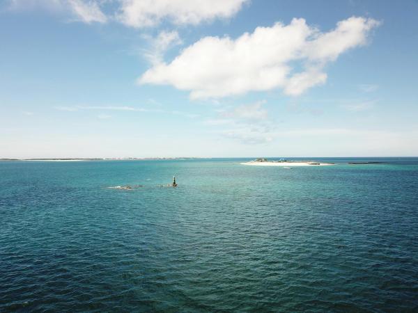 2020十二齒仔記錄