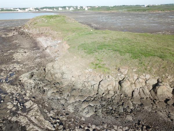 2020牛母件嶼記錄