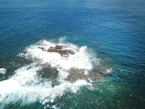 2020船帆嶼塭記錄