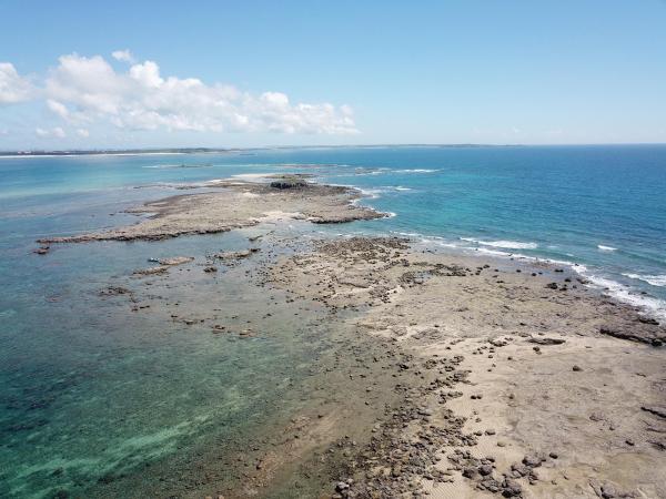 2020土地公嶼記錄