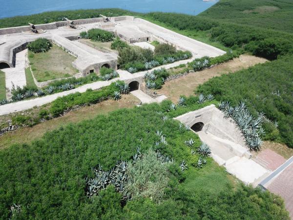 2020西嶼西臺記錄