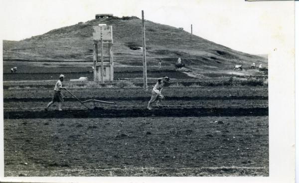 短鑱劚草入詩景