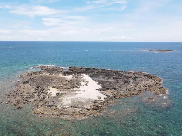 2020大柴面礁記錄