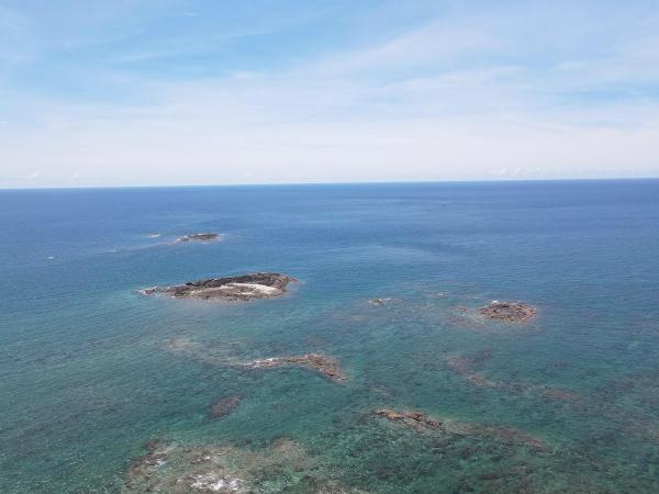 2020大柴面礁記錄