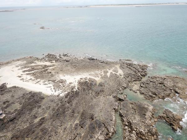 2020大柴面礁記錄