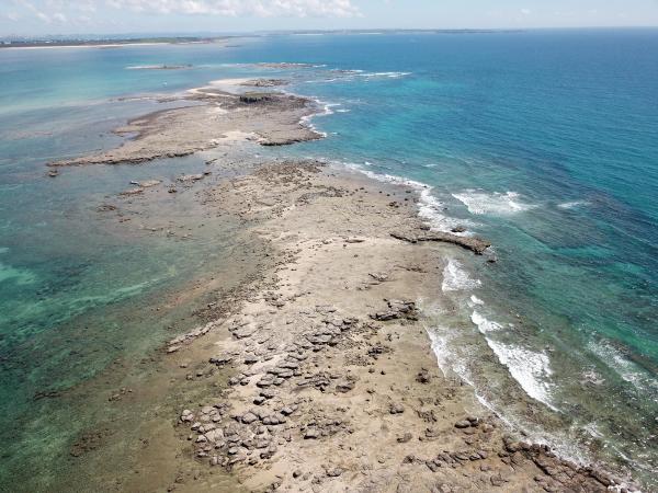 2020土地公嶼記錄