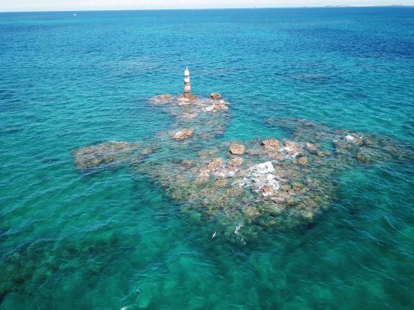 2020十二齒仔記錄