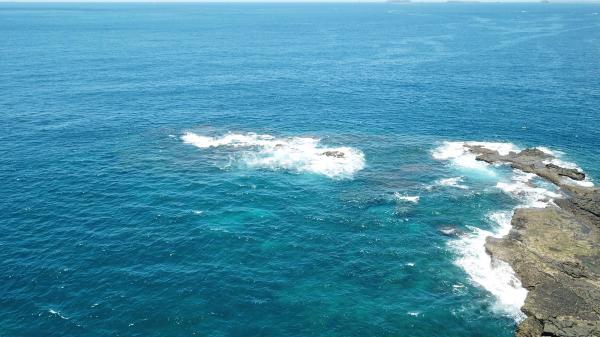 2020船帆嶼塭記錄