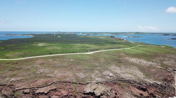 2020將軍澳嶼記錄