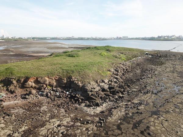 2020牛母件嶼記錄