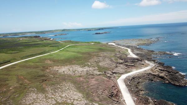 2020將軍澳嶼記錄