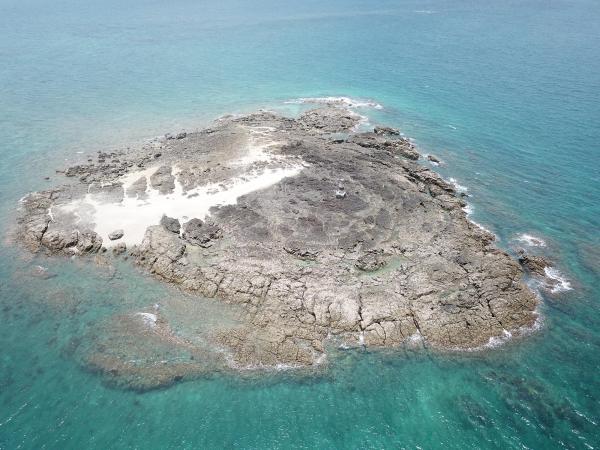 2020大柴面礁記錄