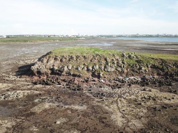 2020牛母件嶼記錄