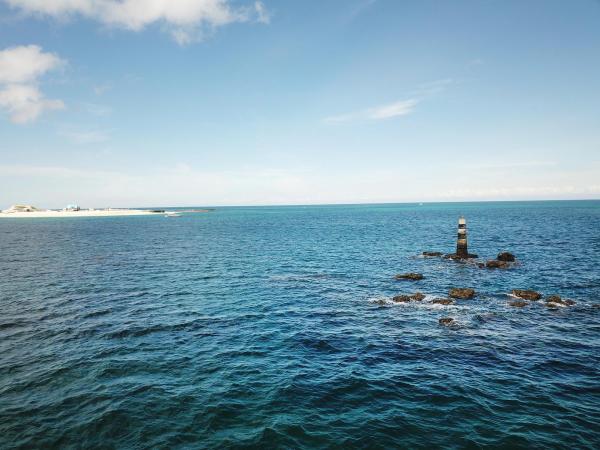 2020十二齒仔記錄