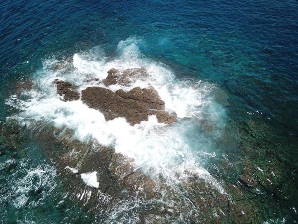 2020船帆嶼塭記錄