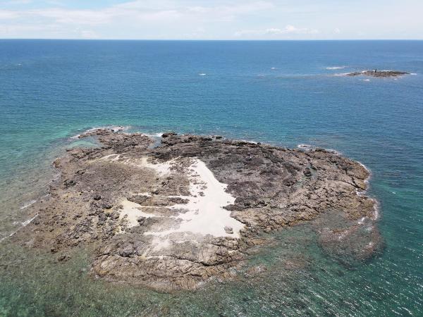 2020大柴面礁記錄