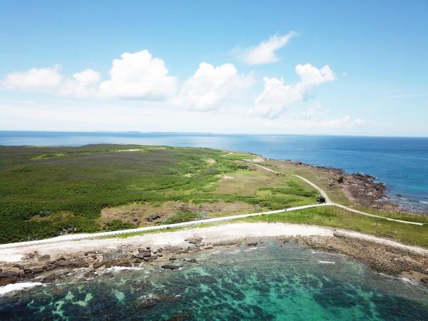 2020將軍澳嶼記錄