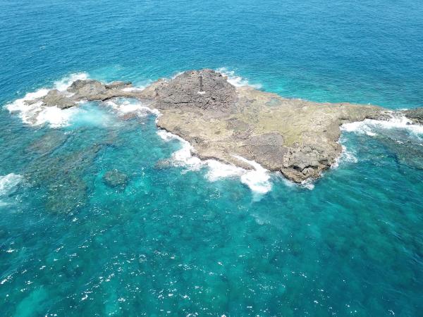 2020船帆嶼塭記錄