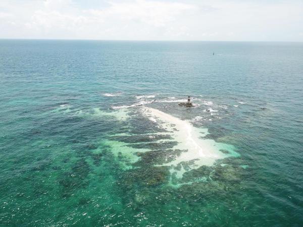 2020大柴面礁記錄