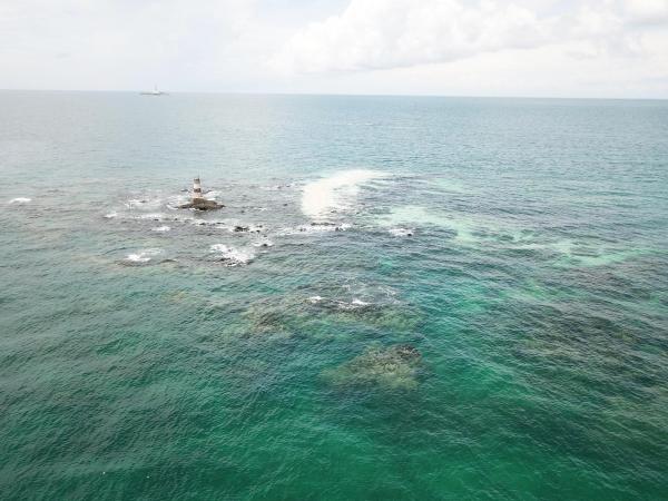 2020大柴面礁記錄