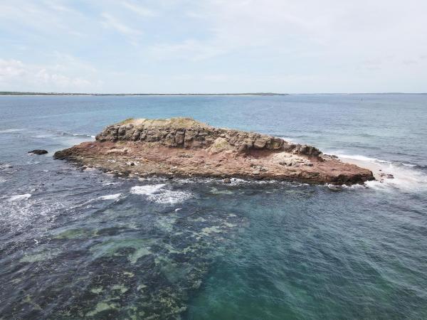 大白沙嶼（滿潮）