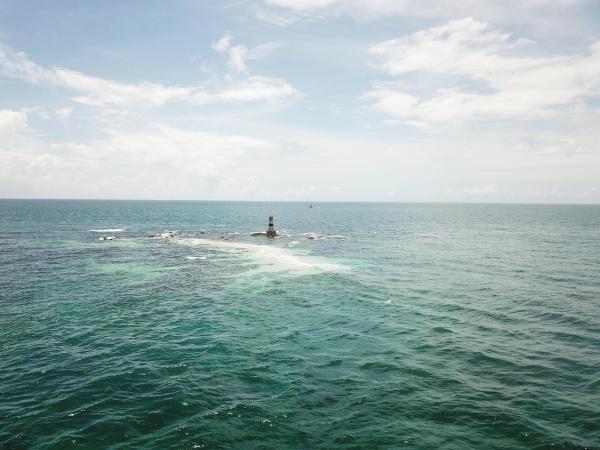 2020大柴面礁記錄