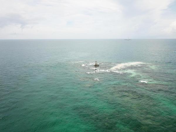 2020大柴面礁記錄