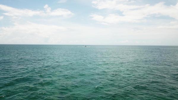 2020大柴面礁記錄