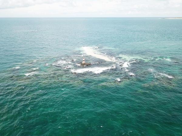 2020大柴面礁記錄