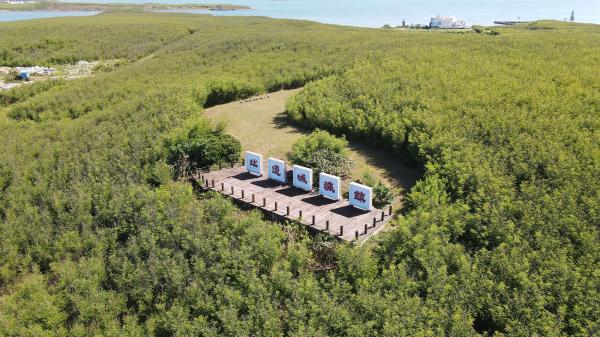 2020鎮海城址記錄