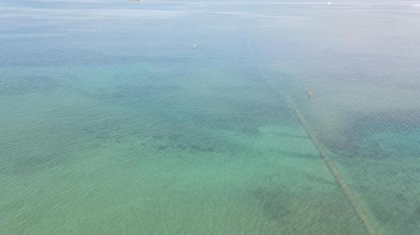 2020圓潭橋仔記錄