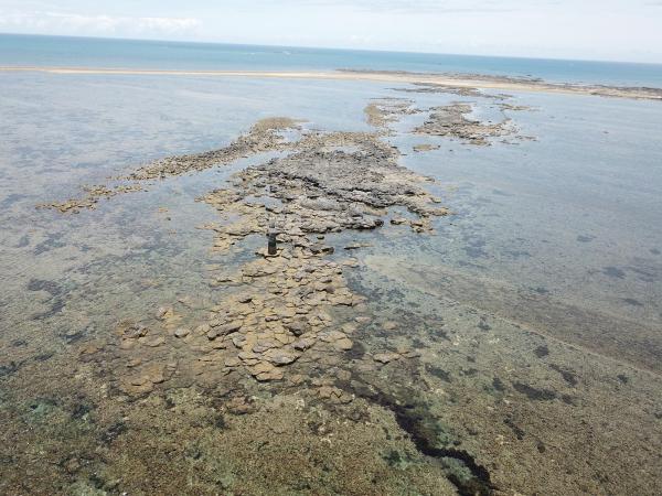 2020長岸仔礁記錄