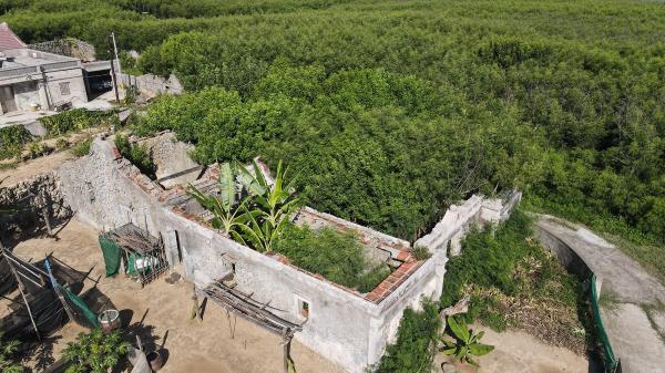 赤崁仔頭聚落記錄