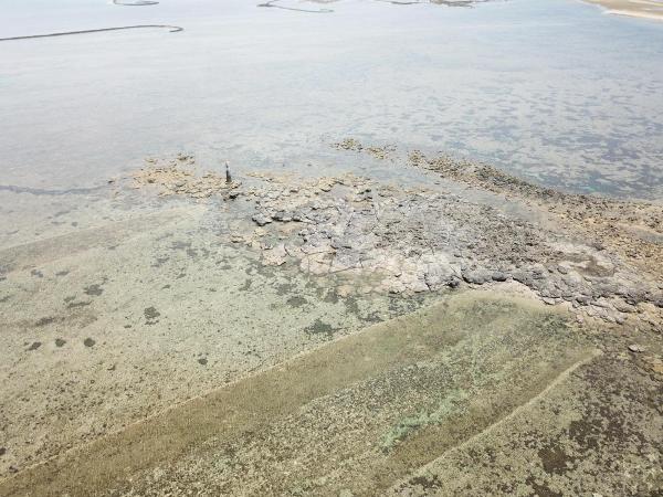 2020長岸仔礁記錄