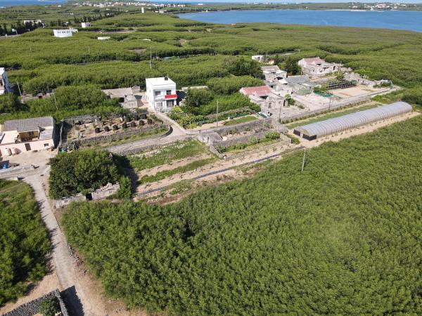 2020赤崁仔頭記錄