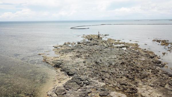 2020長岸仔礁記錄