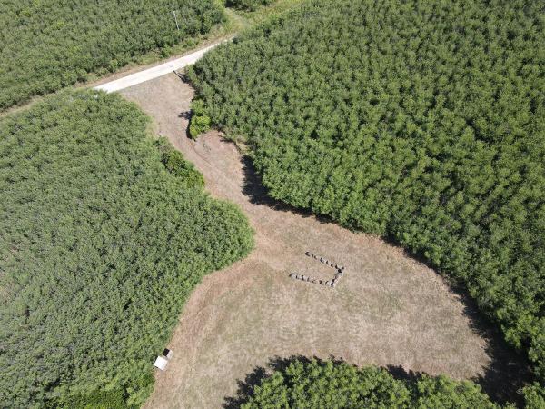 2020鎮海城址記錄