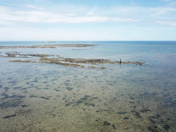 2020長岸仔礁記錄