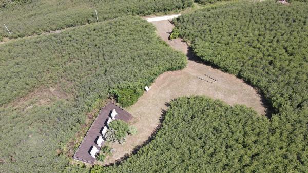 2020鎮海城址記錄