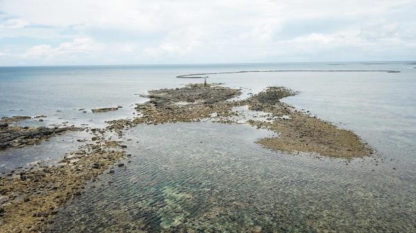 2020長岸仔礁記錄