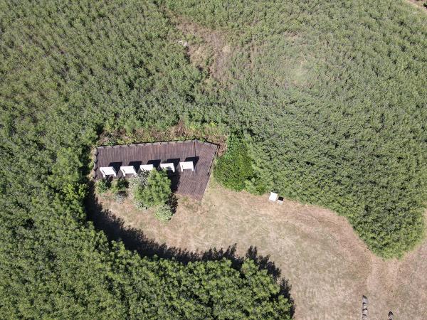 2020鎮海城址記錄