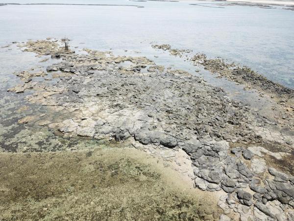 2020長岸仔礁記錄