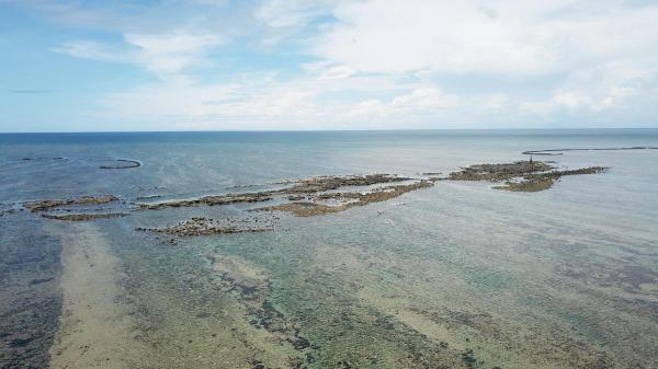 2020長岸仔礁記錄