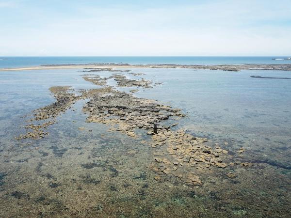 2020長岸仔礁記錄